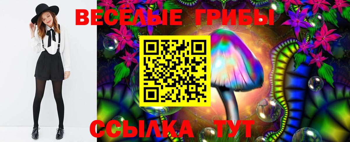 Псилоцибиновые грибы Psilocybe Карпинск