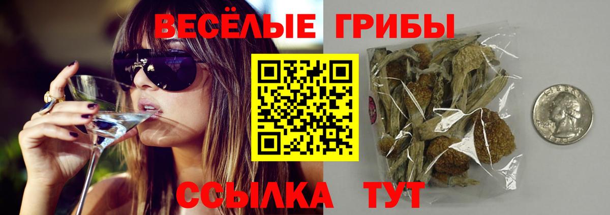 Карпинск  Галлюциногенные грибы ЛСД  Вход с VPN 
